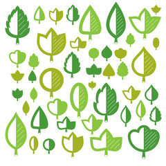 Vector illustration of green tree leaves isolated on white background. Set of simple drawn nature design elements, graphic symbols made in ecology theme.