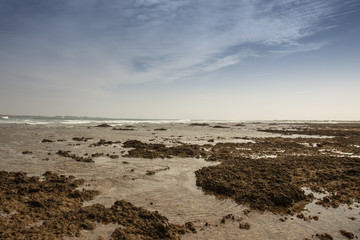 reef at low tide with tide pools
