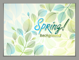 Spring leaves horizontal background, nature seasonal template for design banner, ticket, leaflet, card, poster with green and fresh floral elements. Sale, advertising poster, brochure or flyer design.