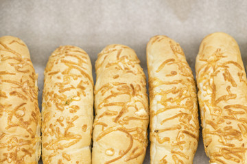 Fresh cheese rolls. close-up