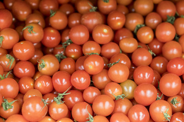 a lot of small red tomatoes