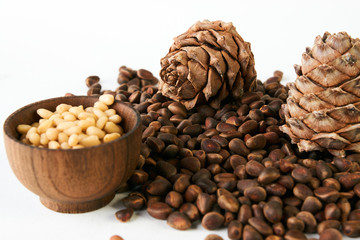 Pine cones with ripe cedar pine nuts