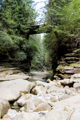 Landscapes of the mountains and mountain river and natural green forest.