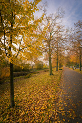 Herbst an Uckerpromenade