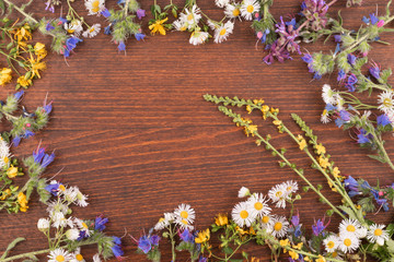 Frame of wild flowers on a dark wooden background.