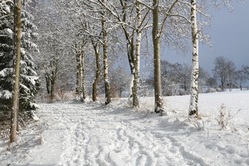 Hirschberg Saale Haag