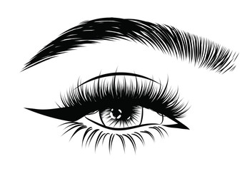 Hand-drawn woman's sexy luxurious eye with perfectly shaped eyebrows and full lashes. Idea for business visit card, typography vector. Perfect salon look.
