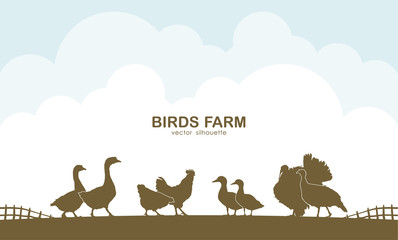 Design template of background with farm birds and fence.