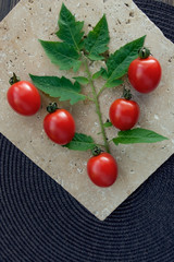 Group of cherry tomatoes with leaves