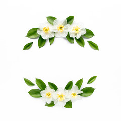 Obraz premium Round frame with white flower narcissus buds, branches and leaves isolated on white background. lay flat, top view