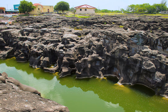 Naturally created potholes (tinajas) on the riverbed of the Kukadi River, Nighoj