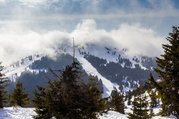 mountain view, Kopaonik Serbia