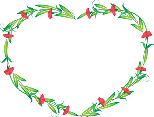 carnation flower background