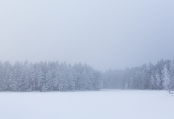 Winter wonderland landscape, wallpaper from Finland. Beautiful silent scenery.