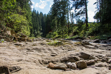 Landscapes of the mountains and mountain river and natural green forest.
