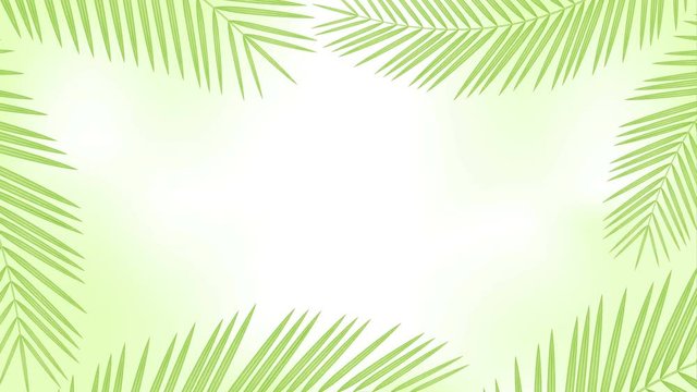 Coconut palm leaves frame moving by the wind looping and copy space animation 4K on blur green background with alpha channel