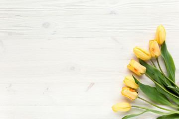 beautiful yellow tulips isolated on a white, wooden background. lay flat, top view
