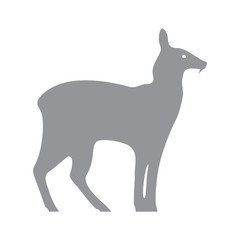 Musk deer vector image, isolated on white background. Silhouette as logo, mascot, symbol.