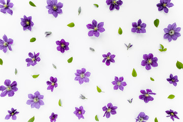 Fototapeta na wymiar Floral texture, pattern made of purple flowers, green leaves and branches on a white background. The apartment lay, top view. Floral background. Drawing flowers.
