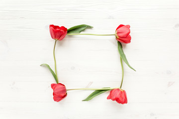 frame with beautiful red tulips isolated on a wooden white background. lay flat, top view