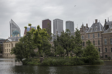 Fototapeta na wymiar skyline of the Hague 