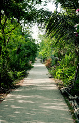 A shadowed narrow path