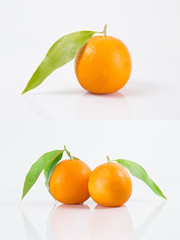 fresh fruit collection oranges isolated on white background.