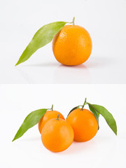 fresh fruit collection oranges isolated on white background.