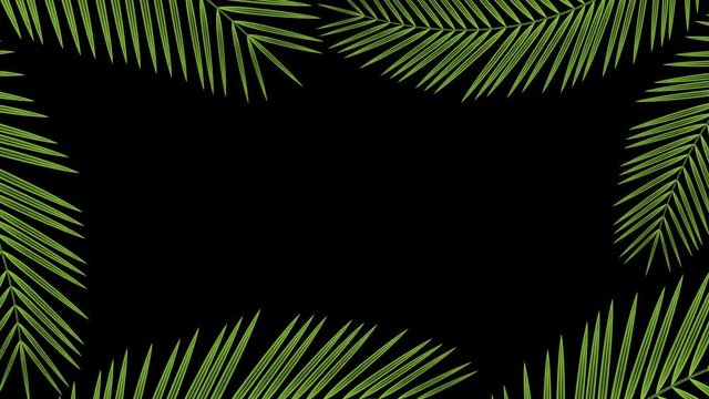 Coconut palm leaves transparent frame moving by the wind looping and copy space animation 4K on black background with alpha channel