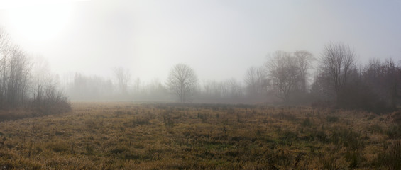 Naklejka na ściany i meble Morning Fog Panorama
