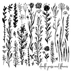 Set of black and white doodle elements, rose, grass, bushes, leaves, flowers. Vector illustration, Great design element for congratulation cards, banners and others