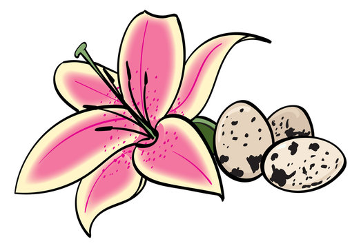Oriental Lily and Quail Eggs