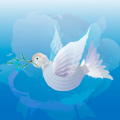 white dove with olive sprig on powder blue background. Icon isolated on blue.