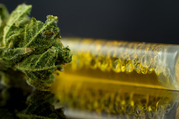 Medical Oil Cannabis - flower marijuana and oil cannabis  on the mirror background. 