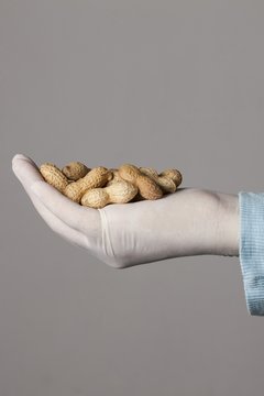 Person holding monkey nuts