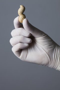 Person holding monkey nut