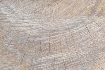 Fototapeta premium Wooden background. Texture of wood useful as background.