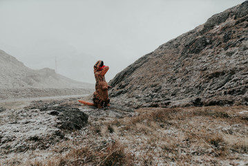 Man With dinosaur costume in a wild natural area