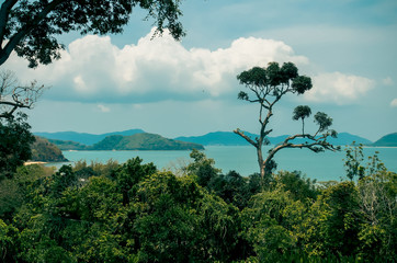 Scenery of trees, sea and mountains.