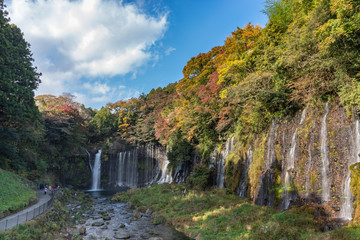 shiraito Waterfall in autumn season with green and red maple tree and blue sky. the Waterfall in...