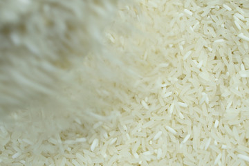 Rice grains.