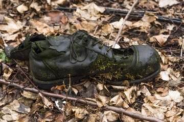 Alter Schuh im Wald, kaputter Schuh, schuh der verottet