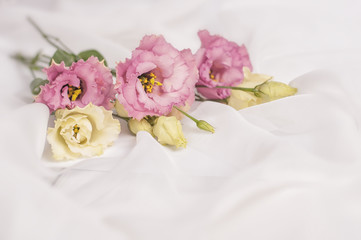 Obraz na płótnie Canvas Bouquet of flowers on a white background