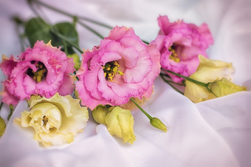 Bouquet of flowers on a white background