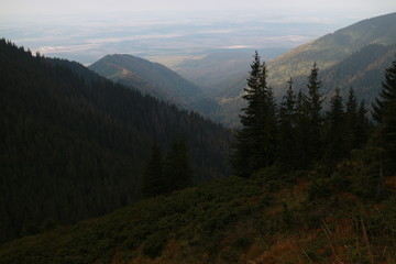 Fototapeta premium Mountain