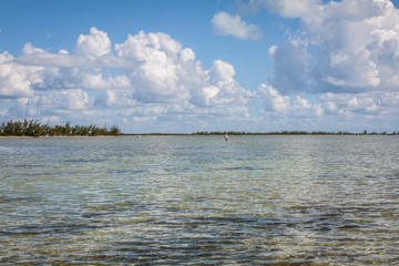 Flats im Süden von Kuba mit flaschem türkisblauem Meer