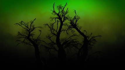 Spooky Tree Dark Night