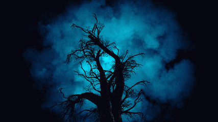 Spooky Tree Dark Night