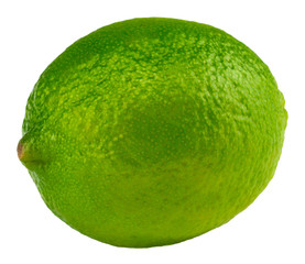 single ripe lime isolated on white background