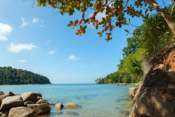 Beautiful scenery landscape of tropical sea and leaves frame in phuket thailand.